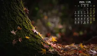 关于布克能重回CBA四强球迷热议的信息