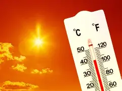 热传：约基奇每场比赛都会看(约基奇54场比赛砍下28次三双)
