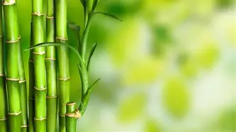 Ning西甲的进球数据具赛后发声的简单介绍